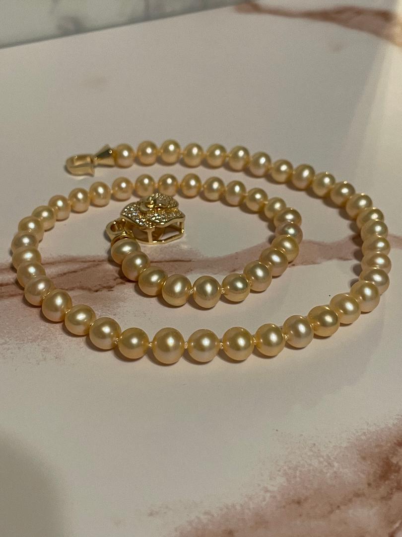 Pink Freshwater Pearl Necklace